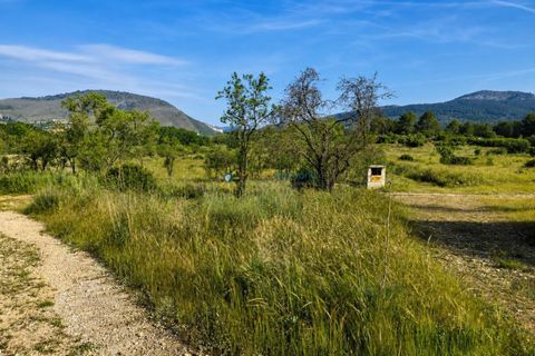 Farm i Beniganim, Valencia, Beniganim - € 67.000 | Ref: PNPT301 - foto 13